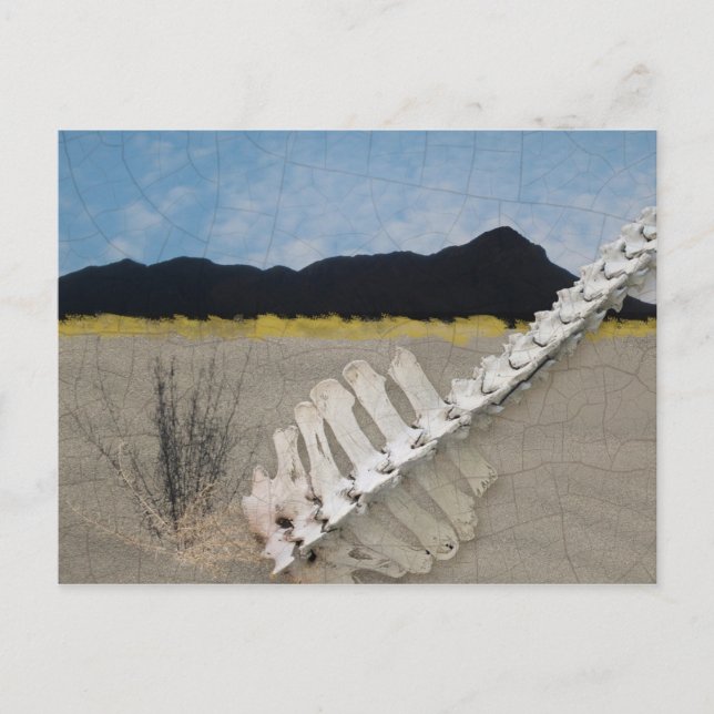 Desert Iconic som Georgia O'Keeffe. Vykort (Framsida)