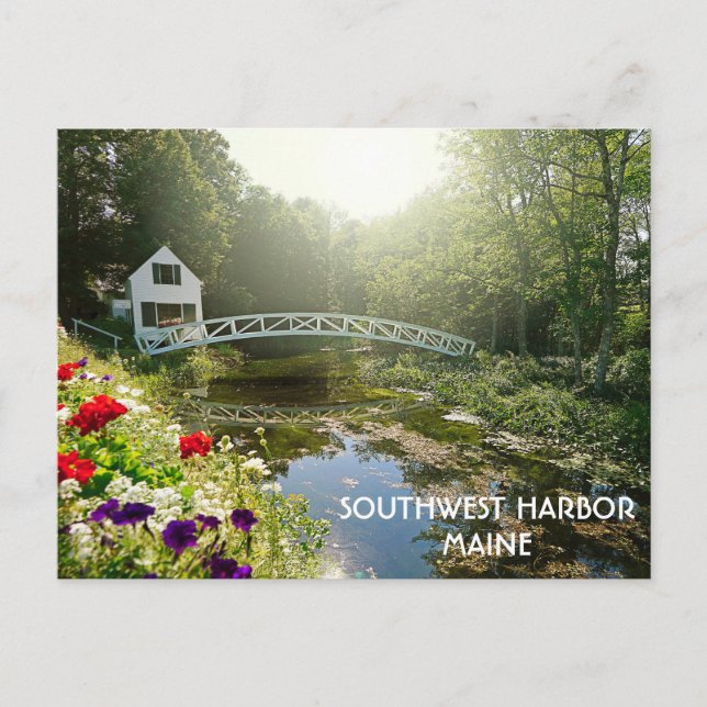 Desert Island Travel i Southwest Harbor Maine Vykort (Framsida)