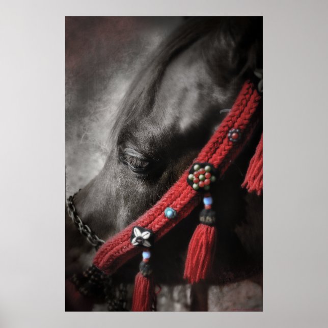 Desert Jewel Poster (Framsidan)