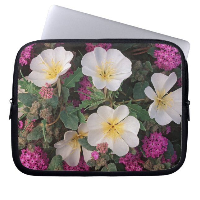 Desert kväll Primrose och Desert Sand Verbena. Laptop Sleeve (Framsidan)