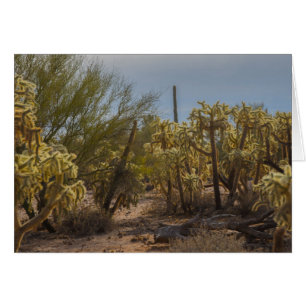 Desert La Cholla Cactus Photo Greeting Card Hälsningskort