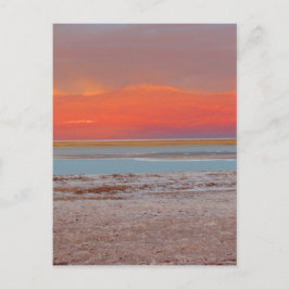 Desert Lagrar - Atacama Chile - Lodrät Vykort