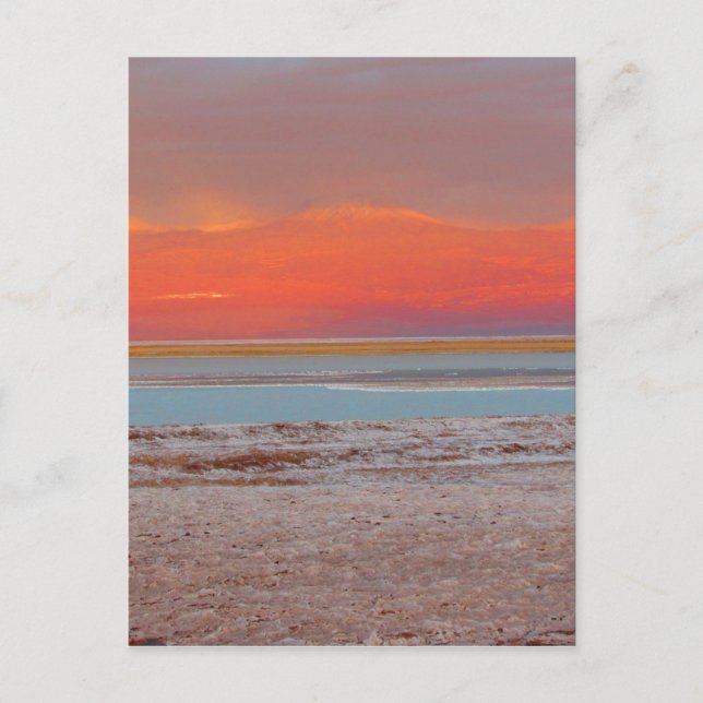 Desert Lagrar - Atacama Chile - Lodrät Vykort (Framsida)