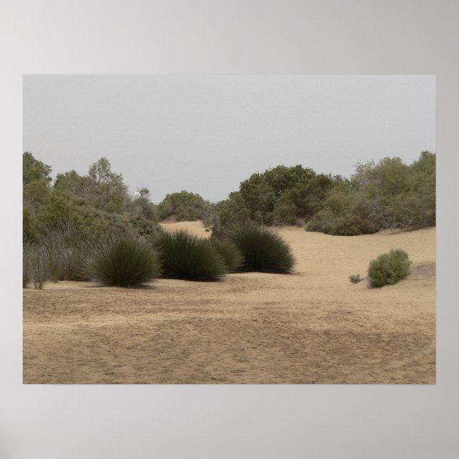 Desert land 1 poster (Framsidan)