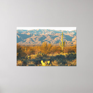 Desert Landscape with Saguaro Cactus Canvastryck