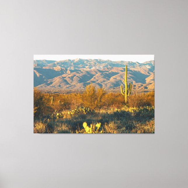 Desert Landscape with Saguaro Cactus Canvastryck (Framsida)