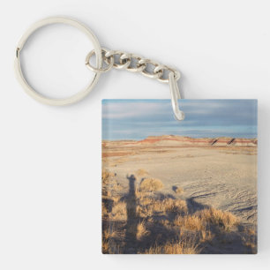 Desert liggande med skuggfoto med våning