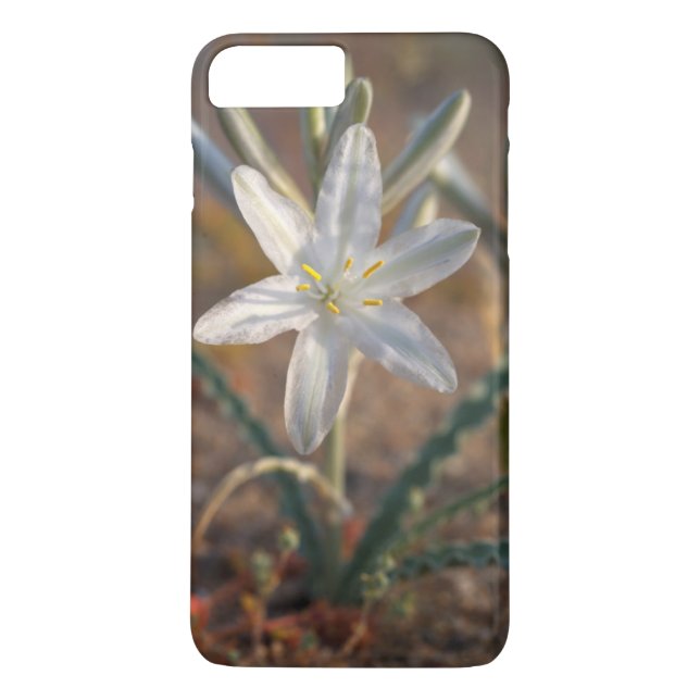 Desert Lily Wildblommor Case-Mate iPhone Skal (Baksida)