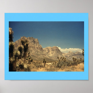 Desert Magic Poster