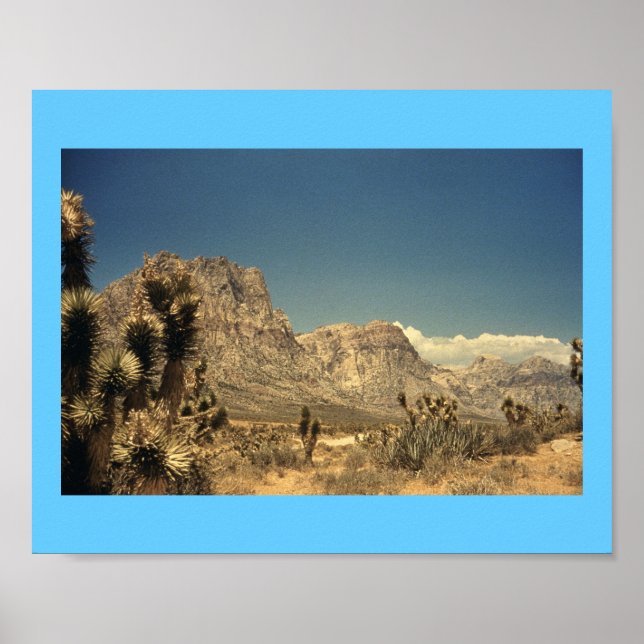 Desert Magic Poster (Framsidan)