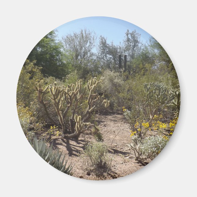 Desert Magnet (Framsidan)