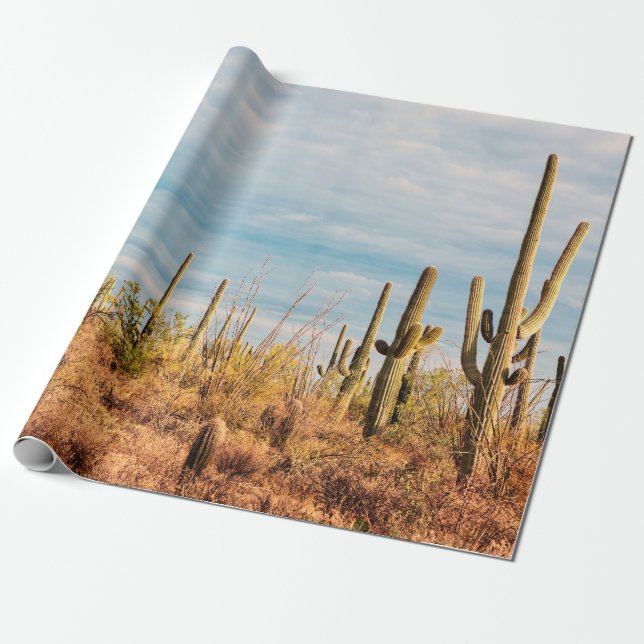 Desert med Saguaro cacti Presentpapper (Utrullad)