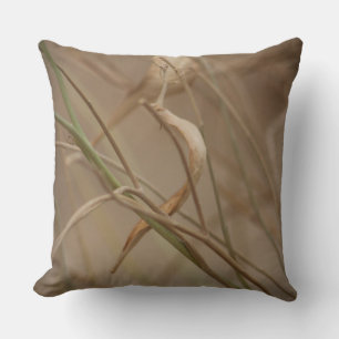 Desert Milkweed Pods Kudde