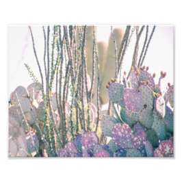 Desert-morgon | Fotoutskrift Fototryck