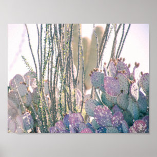Desert-morgon POSTER