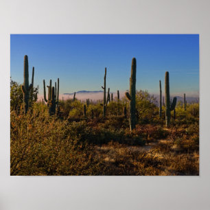 Desert-morgon Poster