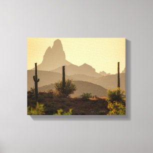 Desert Mountain Weavers Nål Arizona USA 1411 Canvastryck