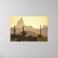 Desert Mountain Weavers Nål Arizona USA 60 x 40