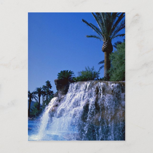Desert oasis vykort (Framsida)