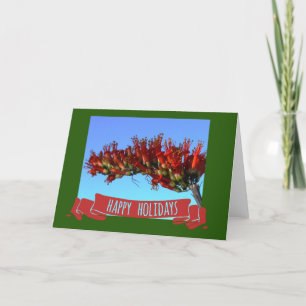 Desert Ocotillo Bloom Helgkort