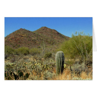 Desert Paradise OBS Kort