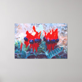 DESERT PEA 32 x 48 Canvastryck