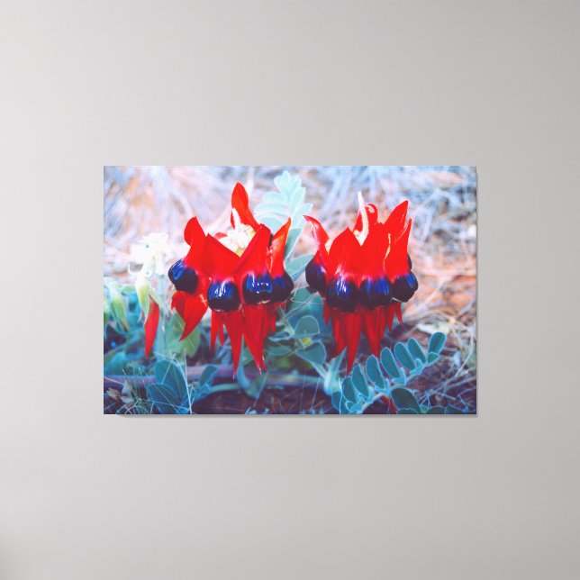 DESERT PEA 32 x 48 Canvastryck (Framsida)