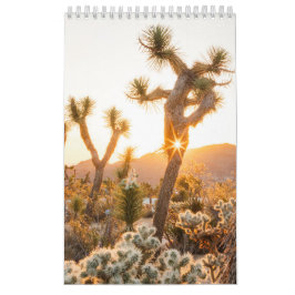 Desert Photo Gift med Cactus Kalender