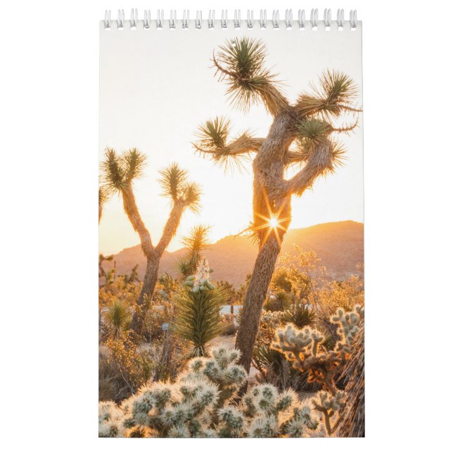 Desert Photo Gift med Cactus Kalender (Omslag)