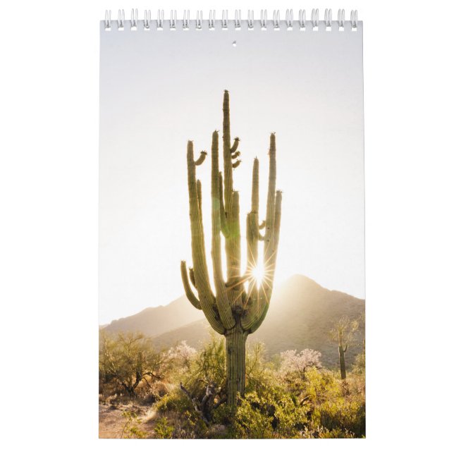 Desert Photo Gift med Cactus Kalender (Omslag)