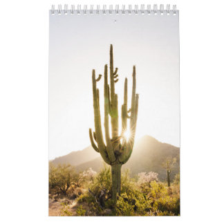 Desert Photo Gift med Cactus Kalender