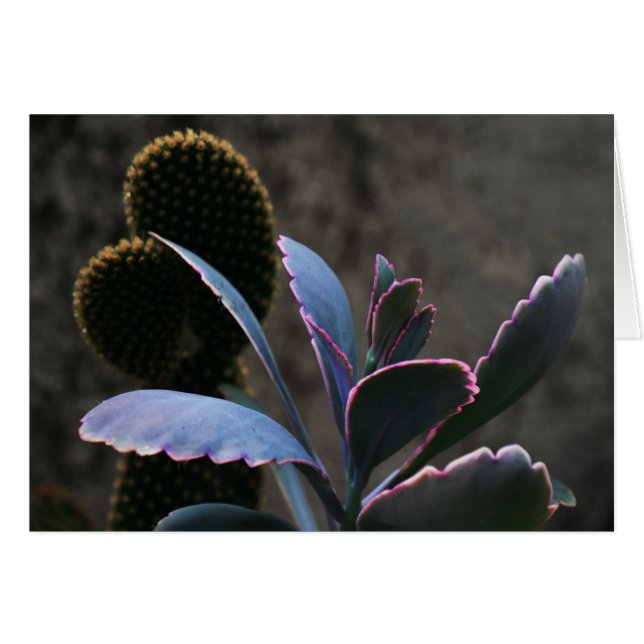 Desert Plant Hälsningskort (Framsidan Horizontal)