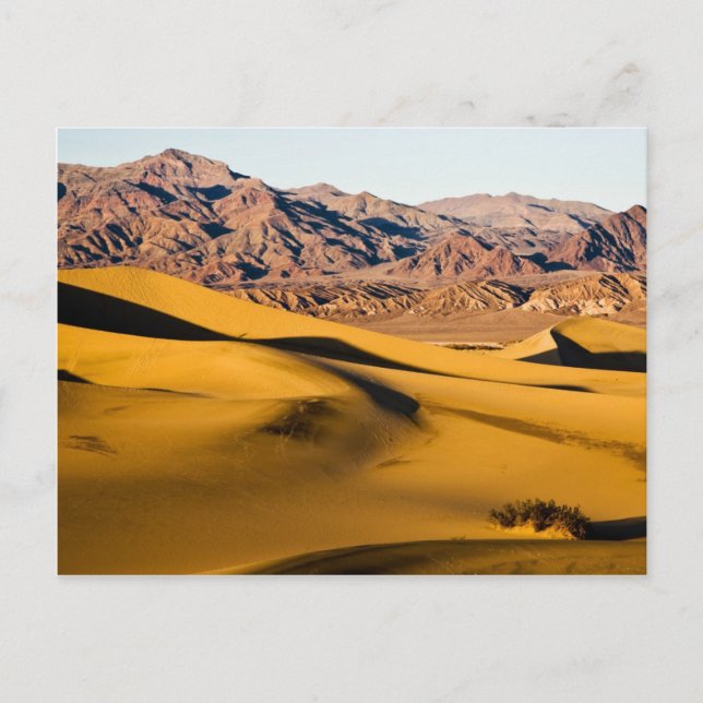 Desert Playground Vykort (Framsida)