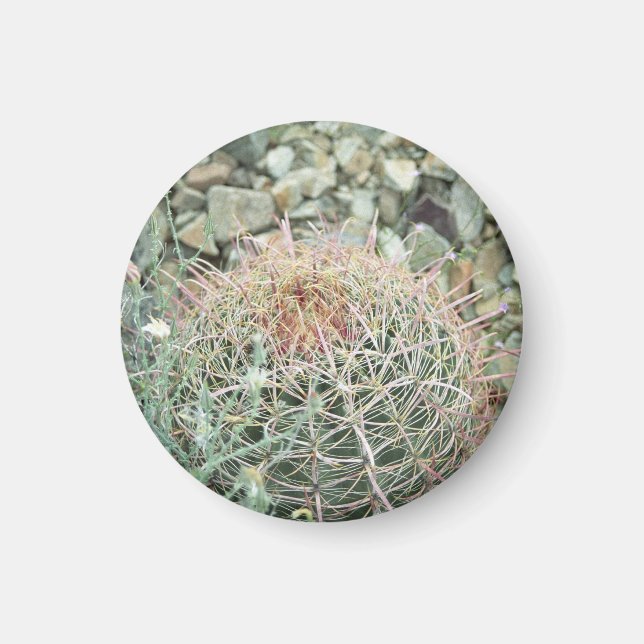 Desert Poetry Cactus Refrigerator Gift Magnet (Framsidan)
