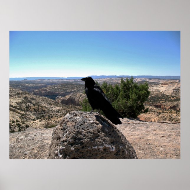Desert Raven Poster (Framsidan)