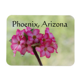 Desert ro i rosa Phoenix, AZ Magnet
