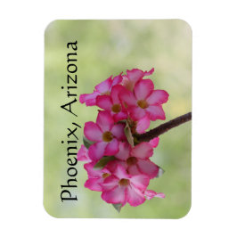 Desert ro i rosa Phoenix, AZ Magnet