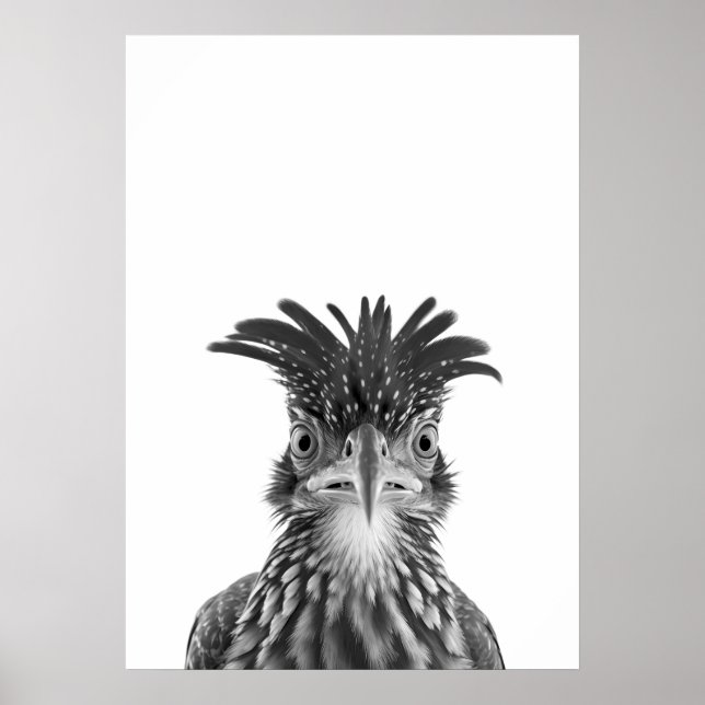 Desert Road Springer Bird Porträtt Poster (Framsidan)