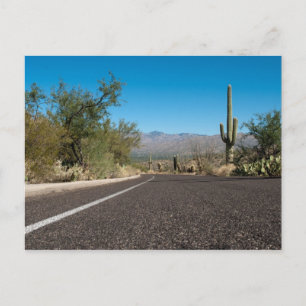 Desert Road Vykort