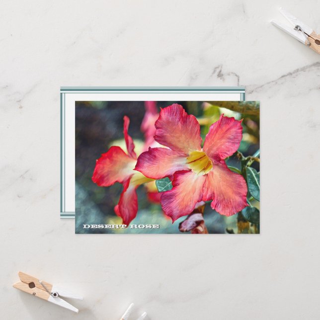 Desert Rose: Flat Card (Fram/Back In Situ)