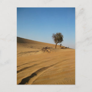 Desert Safari Abu Dhabi Vykort