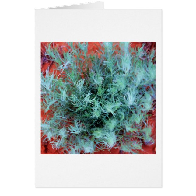 Desert Sage Hälsningskort (Framsidan)