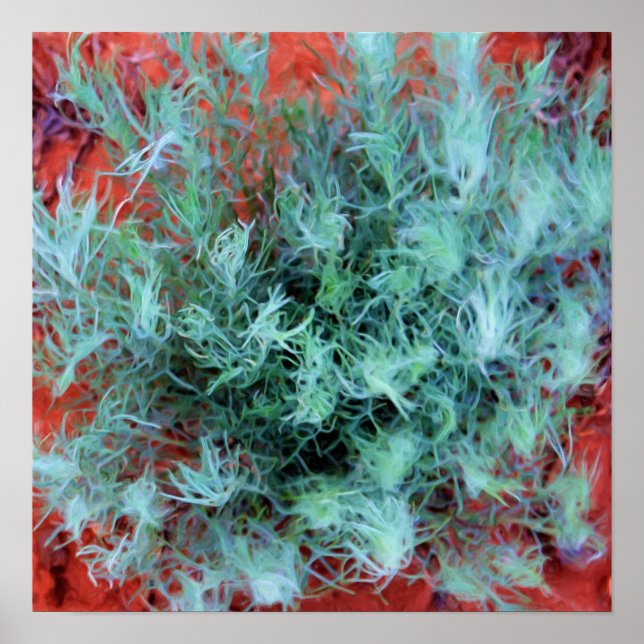 Desert Sage Poster (Framsidan)