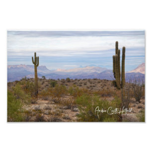 Desert Saguaro Fototryck
