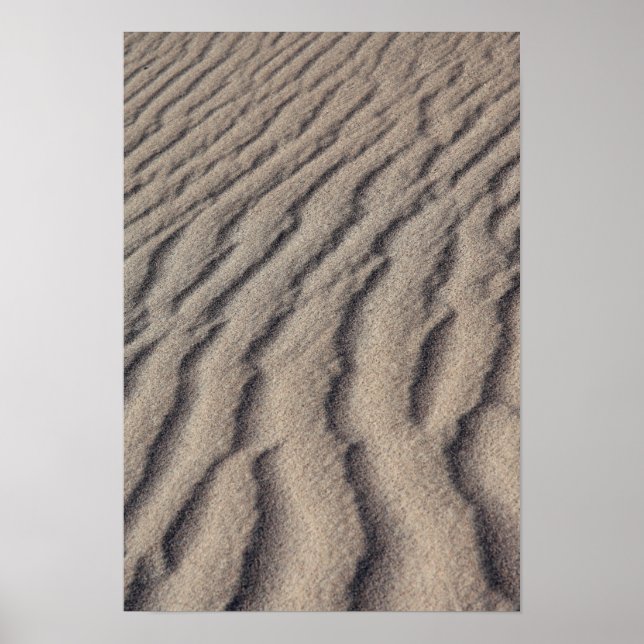 Desert sandrippel poster (Framsidan)