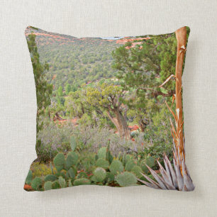 Desert scen, Sedona, natur, cactus. Kudde