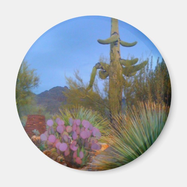 Desert Scene Magnet (Framsidan)