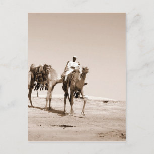 Desert Scene Vykort