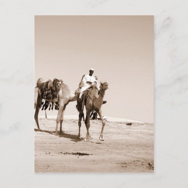 Desert Scene Vykort (Framsida)