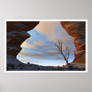 Desert Snö Poster